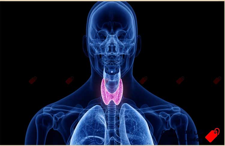 كيفية معالجة الغدة الدرقية