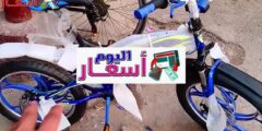 اسعار العجل النيجر 2023 | عجل نيجر ب 900 جنيه | كم سعر عجل السرعات؟