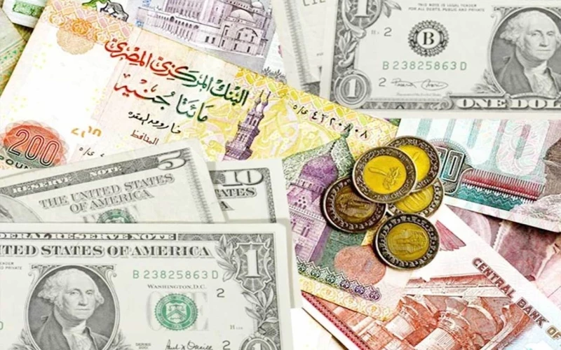 سعر درهم الامارات مقابل الجنيه المصري