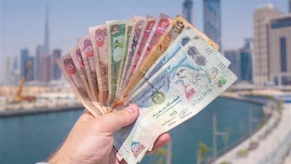 سعر الدرهم الاماراتي مقابل الجنيه المصري